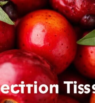 Fruta madura: prevención